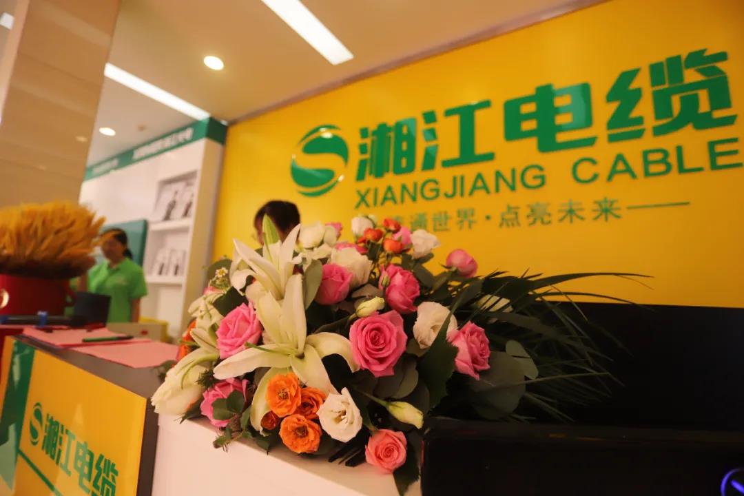 連通世界 點亮未來?。∠娼娎|集團武漢旗艦店開業(yè)慶典盛大舉行！